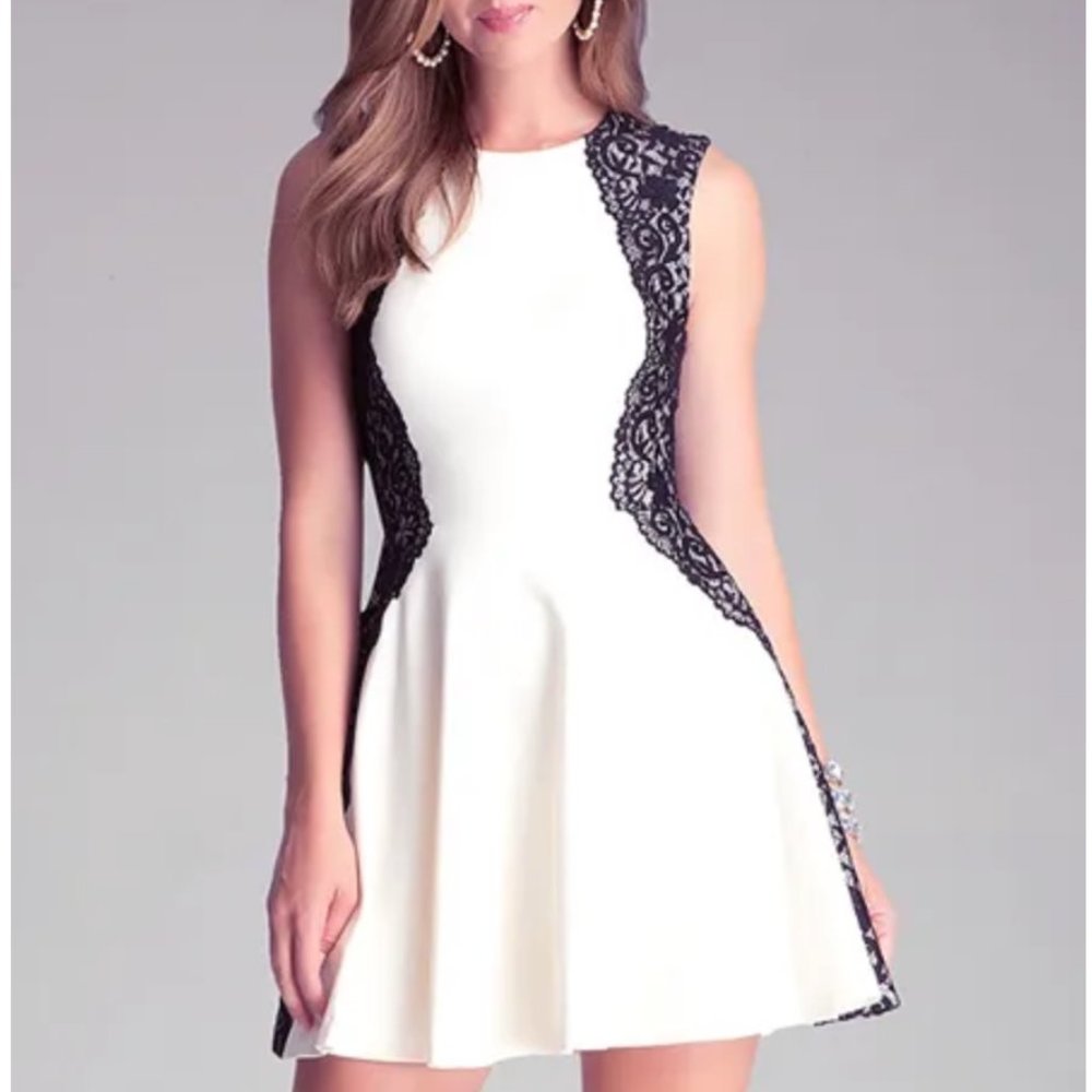 Bebe Lace Fit & Flare Dress